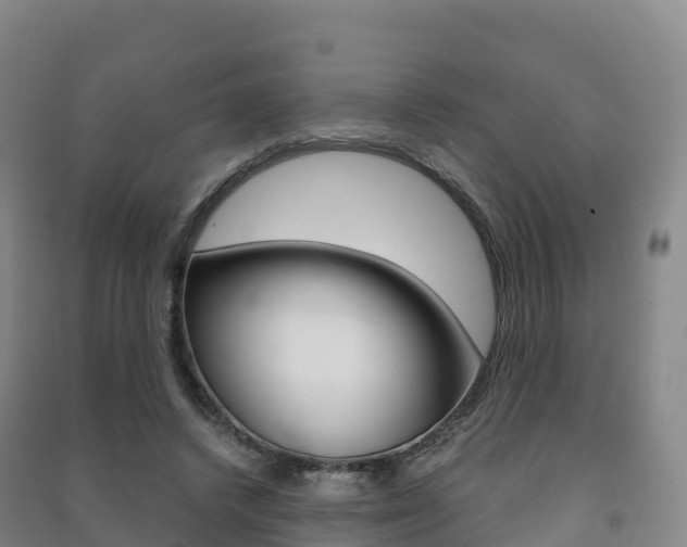 X0000091480448200708161152