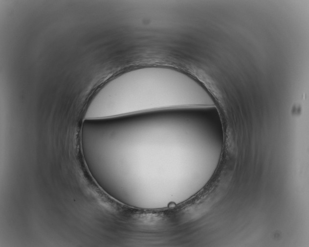 X0000091480449200708161152