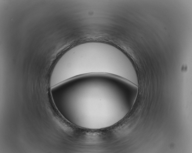 X0000091480450200708161152