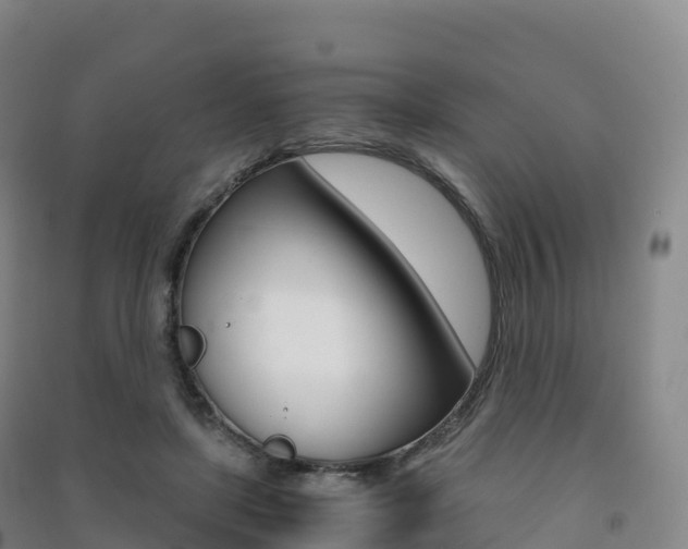 X0000091480451200708161152