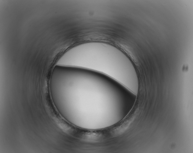 X0000091480453200708161152