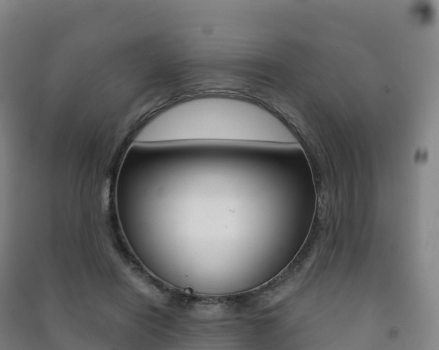 X0000091480454200708161152
