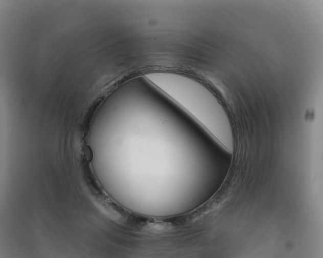 X0000091480455200708161152