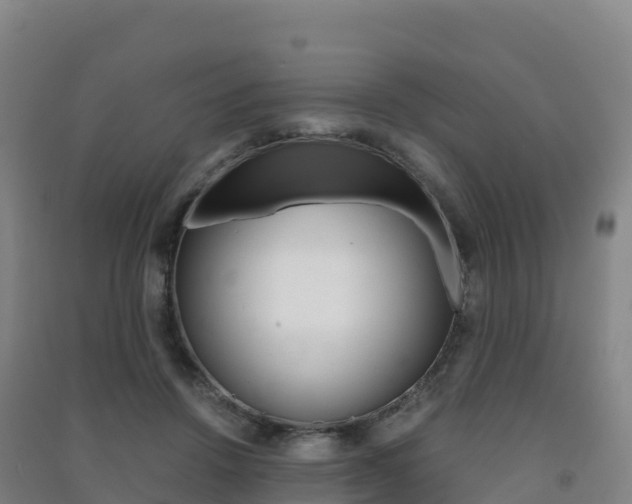 X0000091480456200708161152