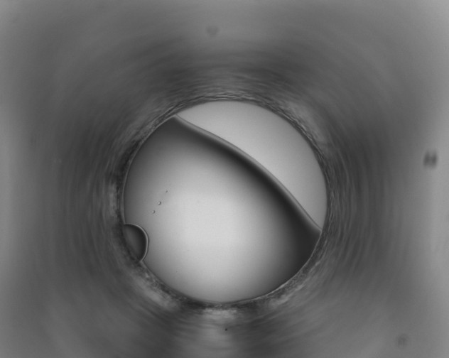 X0000091480457200708161152