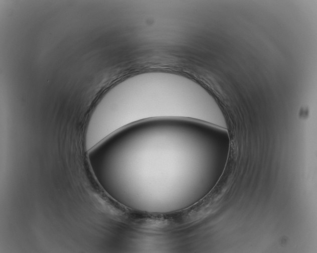 X0000091480458200708161152