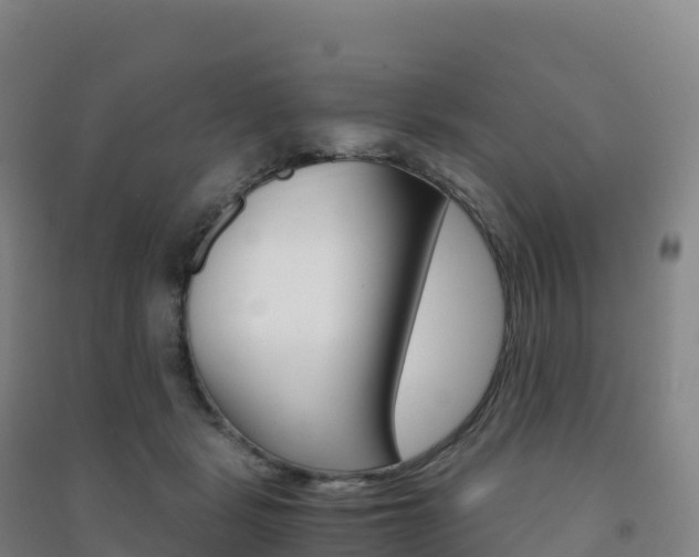 X0000091480461200708161152