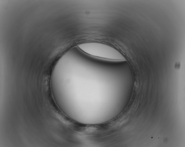 X0000091480462200708161152