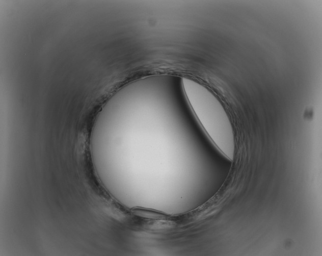 X0000091480463200708161152