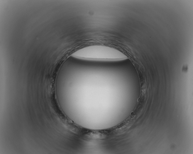 X0000091480464200708161152