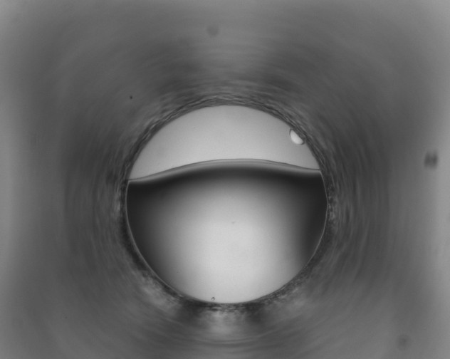 X0000091480466200708161152