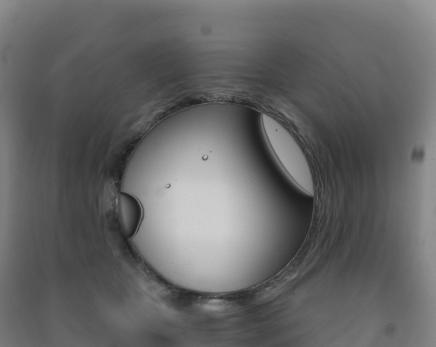 X0000091480467200708161152