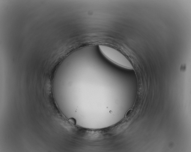 X0000091480469200708161152