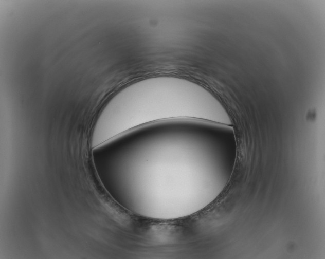 X0000091480470200708161152