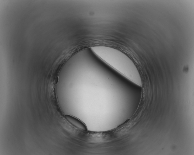 X0000091480473200708161152