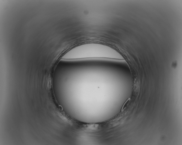 X0000091480474200708161152