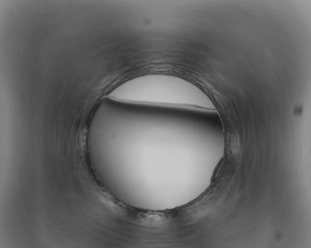 X0000091480475200708161152
