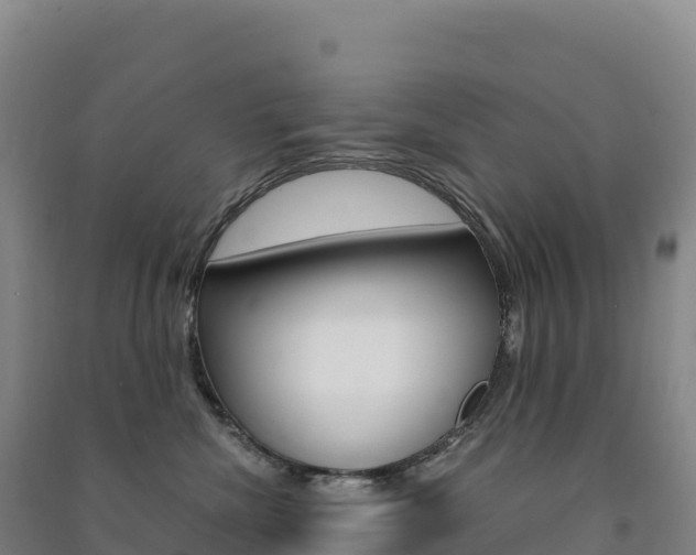 X0000091480476200708161152