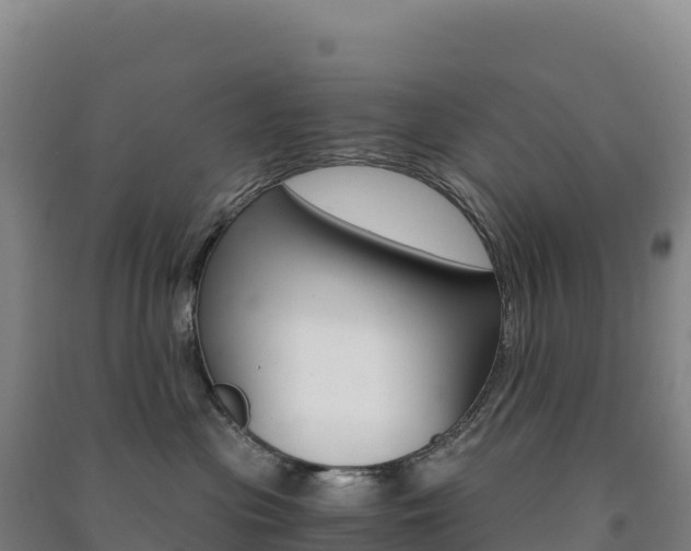 X0000091480477200708161152