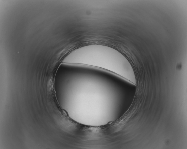 X0000091480478200708161152