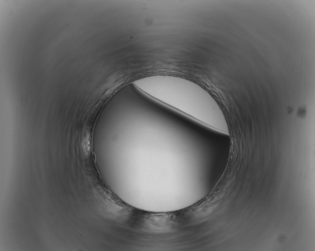 X0000091480479200708161152