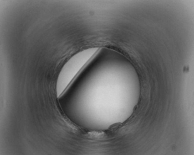 X0000091480480200708161152