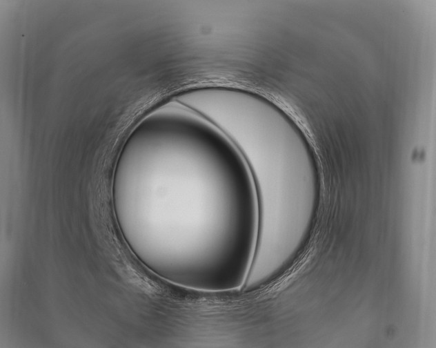 X0000091480481200708161151