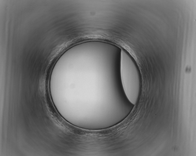 X0000091480482200708161151
