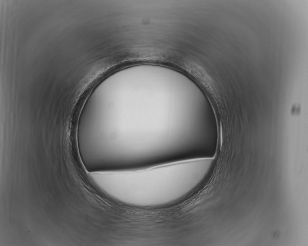 X0000091480483200708161151