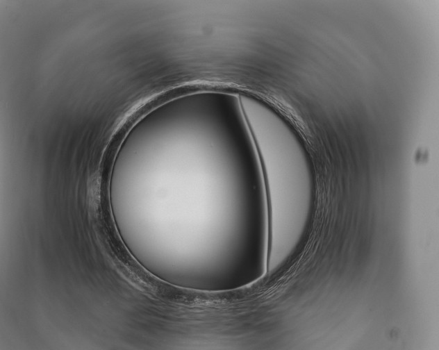 X0000091480484200708161151
