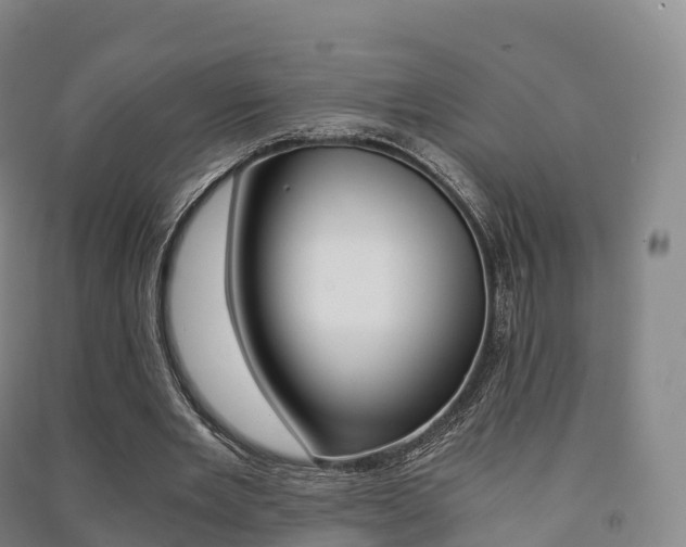 X0000091480485200708161151