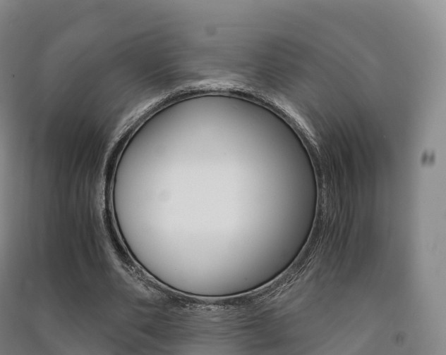 X0000091480486200708161151