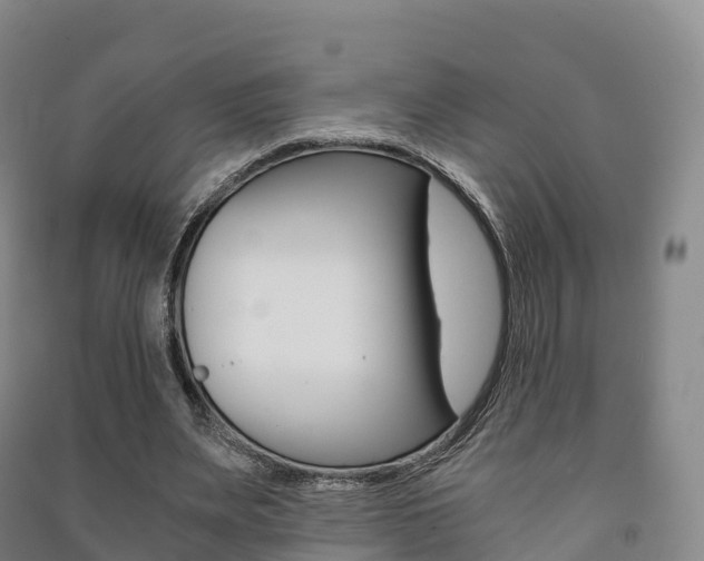 X0000091480487200708161151