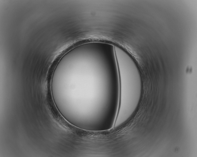 X0000091480488200708161151