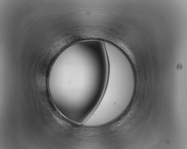 X0000091480489200708161151