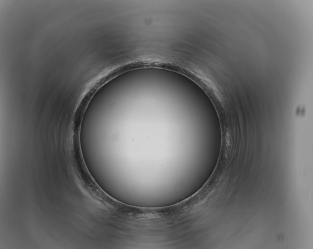 X0000091480492200708161151