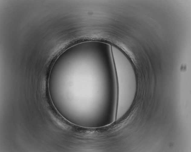X0000091480493200708161151
