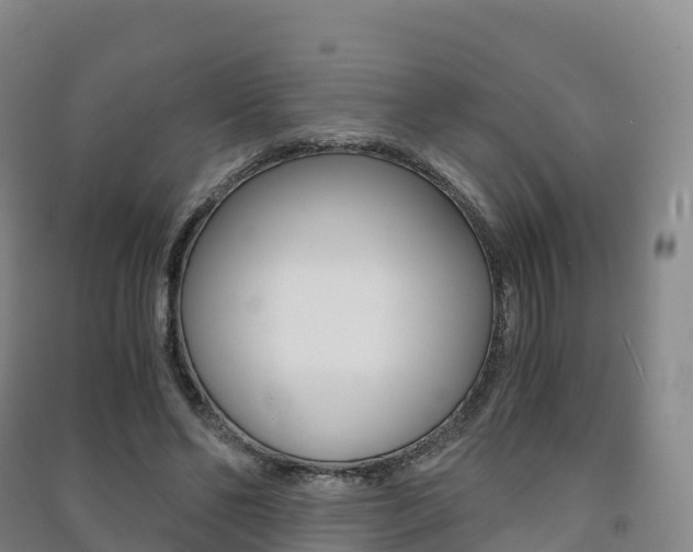X0000091480494200708161151