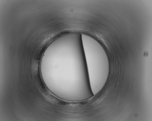 X0000091480495200708161151