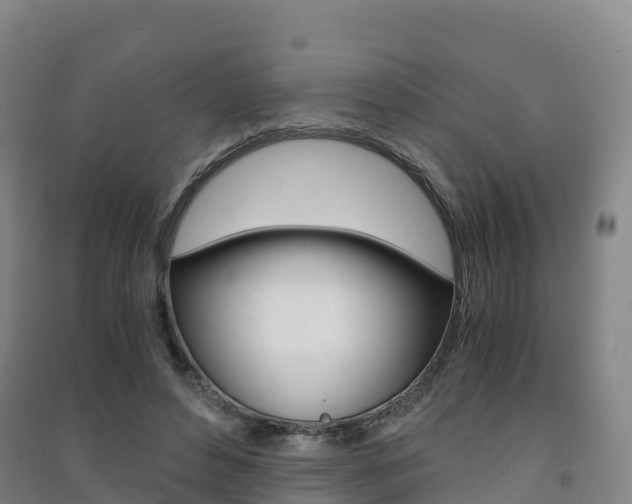 X0000091480496200708161151