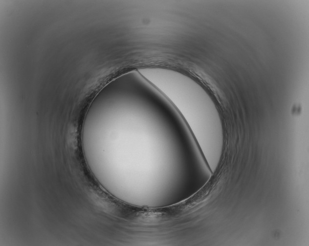 X0000091480497200708161151