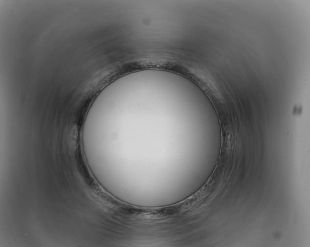 X0000091480498200708161151