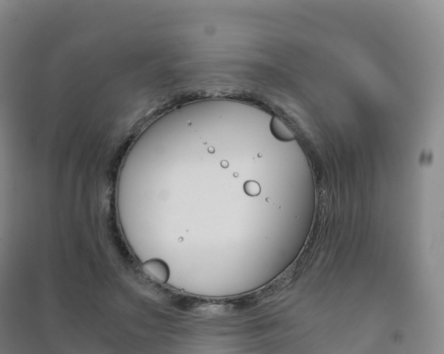 X0000091480499200708161151