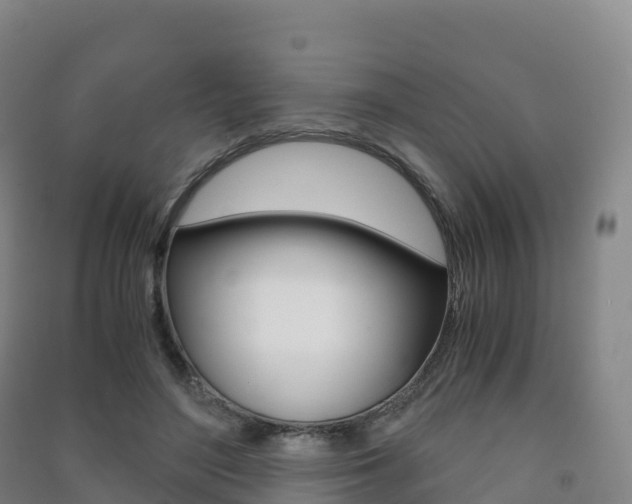 X0000091480500200708161151