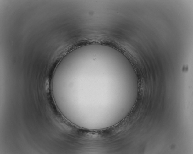 X0000091480502200708161151