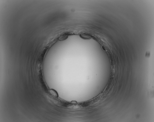 X0000091480503200708161151
