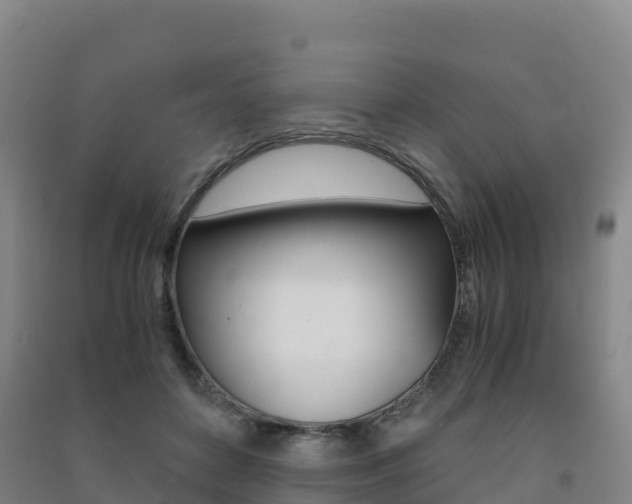 X0000091480504200708161151