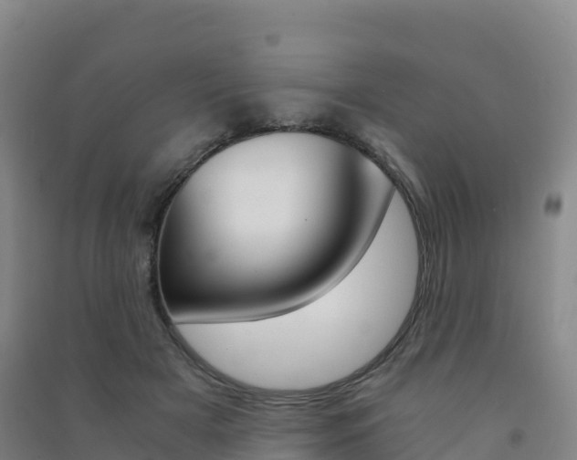 X0000091480505200708161151