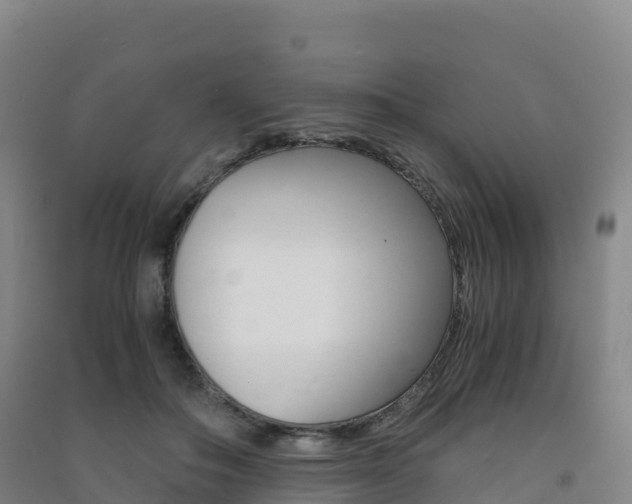 X0000091480506200708161151