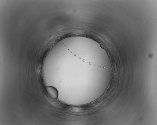 X0000091480507200708161151